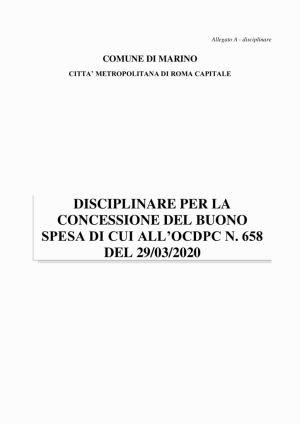thumbnail of allegato_a_disciplinare_buono_spesa_covid